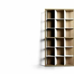 Tani Moto Bookshelf, 1991