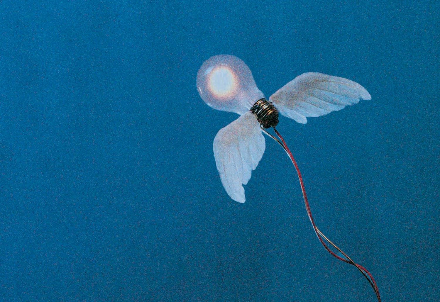 Lucellino Table Lamp, 1992 4 Lucellino Table Lamp, 1992 - Image 2