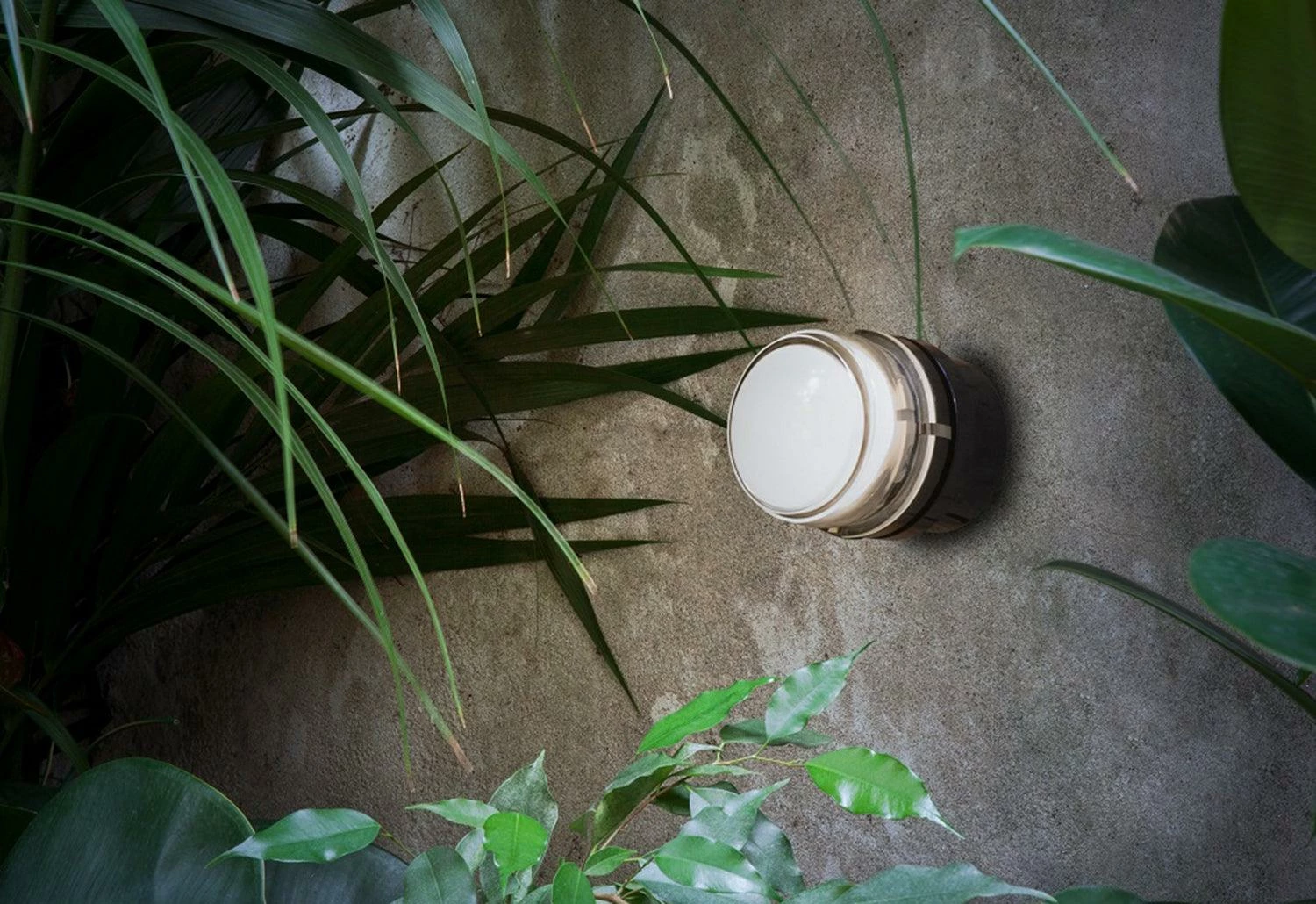 Fresnel Wall Light Set, 1966 4 Fresnel Wall Light Set, 1966 - Image 2