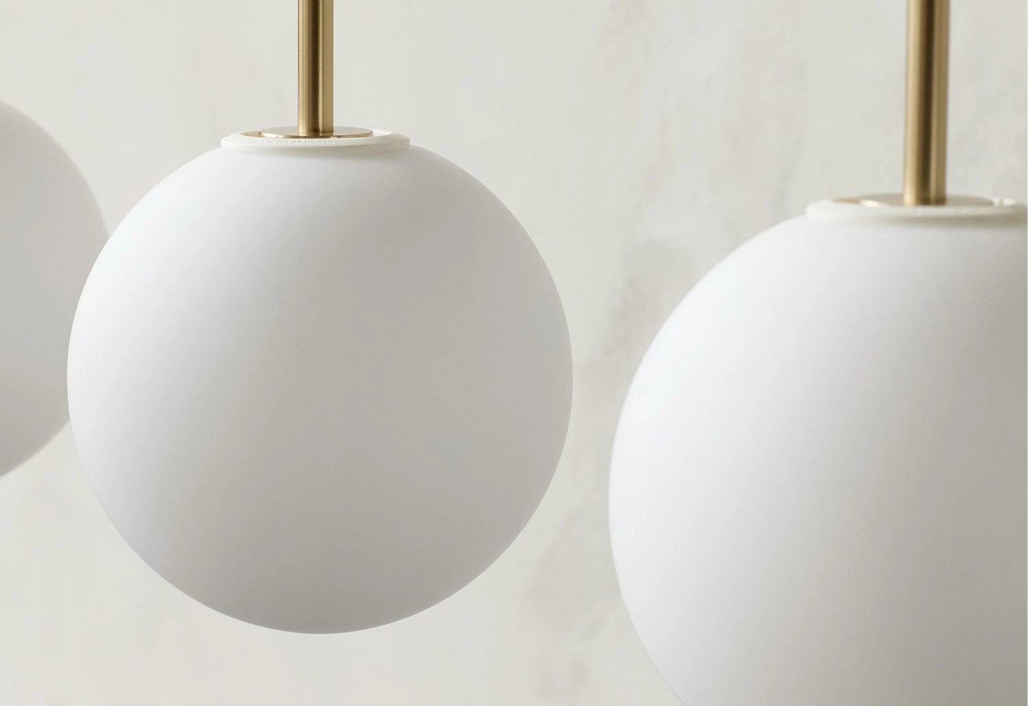 TR Bulb, 2017 6 TR Bulb, 2017 - Image 4