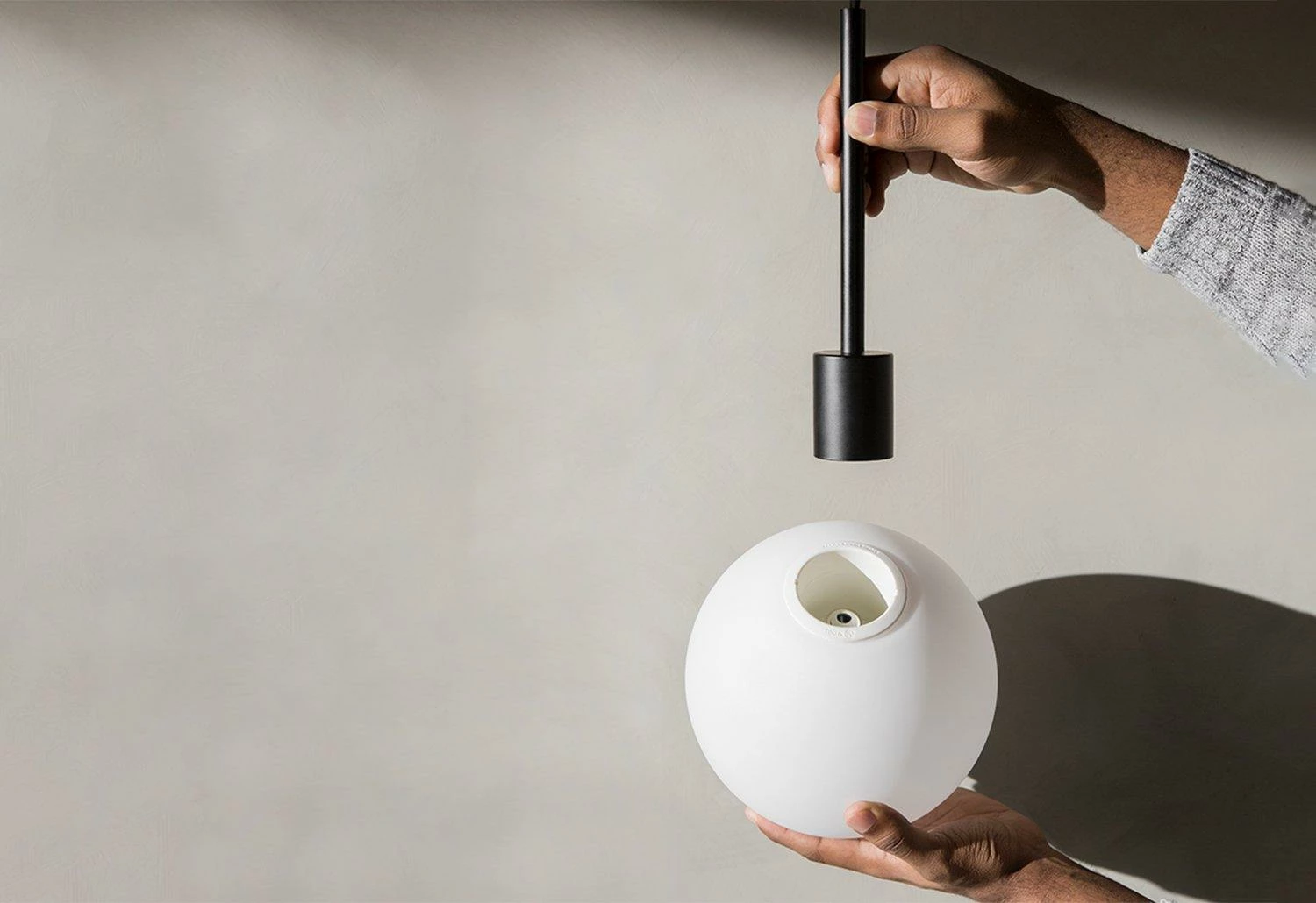 TR Bulb, 2017 3 TR Bulb, 2017