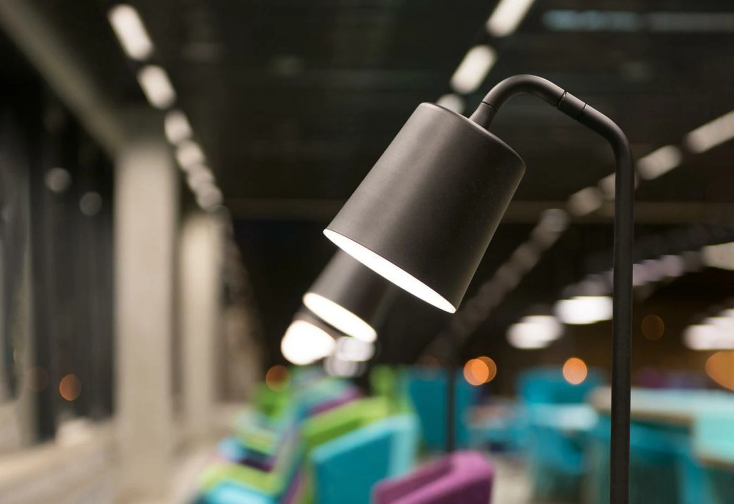 Hide Floor Light, 2007 6 Hide Floor Light, 2007 - Image 4